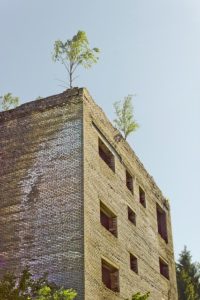 Surreal Abandoned Building Decay  - northm4nn / Pixabay