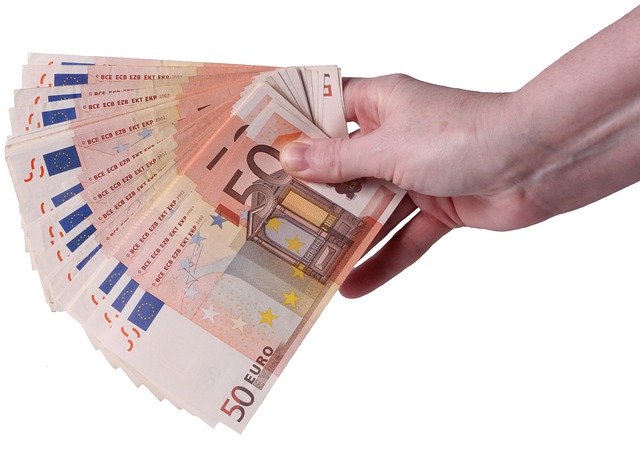 Hand  Fifty Money Euro Eur  - jc_cards / Pixabay