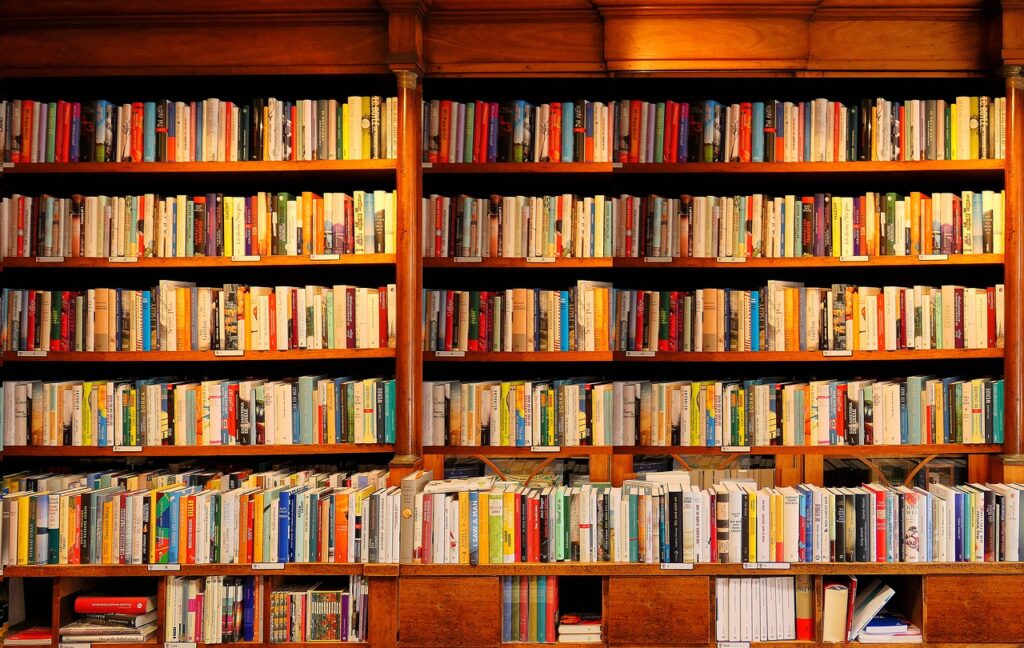 Books Bookshelves Library Bookshelf  - moritz320 / Pixabay